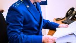 Прокуратурой Сахалинской области организована проверка по публикации "Десятилетний мальчик выпал из окна пятого этажа в Поронайске"